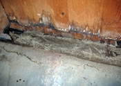 basement lead