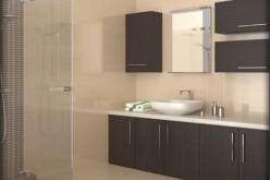 Bathroom Renovations on a Limited Budget