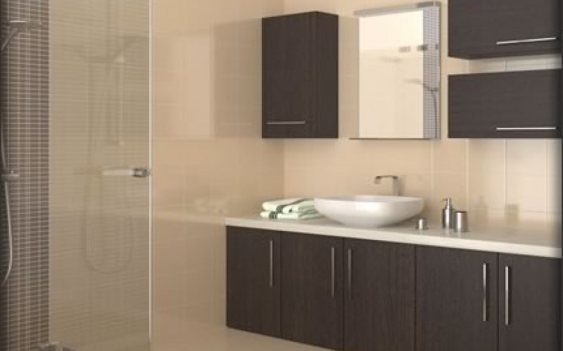 Bathroom Renovations on a Limited Budget