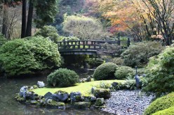 Getting Your Garden Ready for Spring