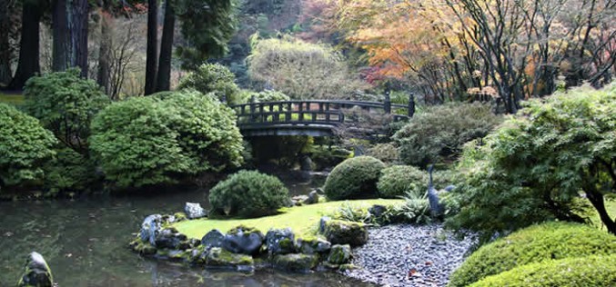 Getting Your Garden Ready for Spring