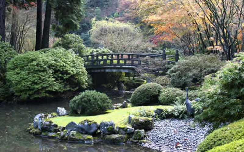Getting Your Garden Ready for Spring