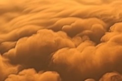 Steps to Recover From a Disaster