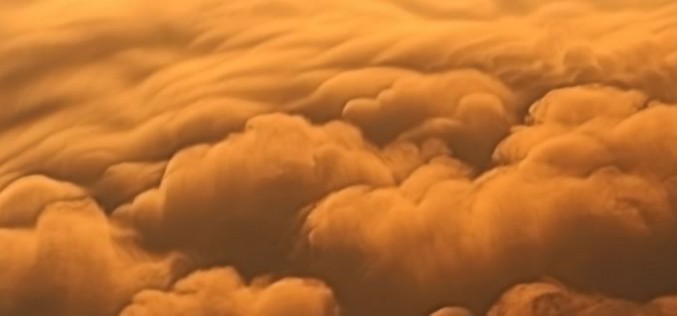 Steps to Recover From a Disaster