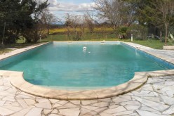Steps to Consider Before Installing a Swimming Pool