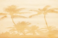 Beach Home Remodeling and Decorating Tips