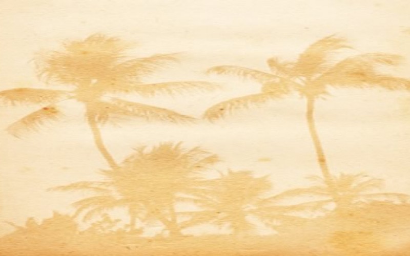 Beach Home Remodeling and Decorating Tips