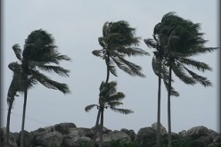 Storm Recovery and Homeowners Insurance