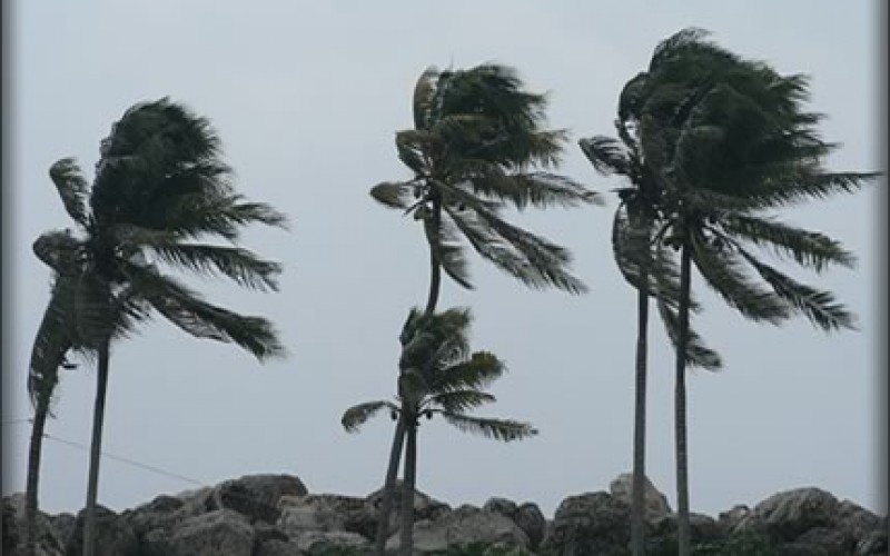 Storm Recovery and Homeowners Insurance