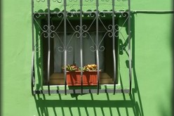 5 Green Home Renovation Tips