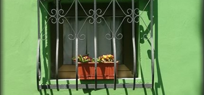 5 Green Home Renovation Tips