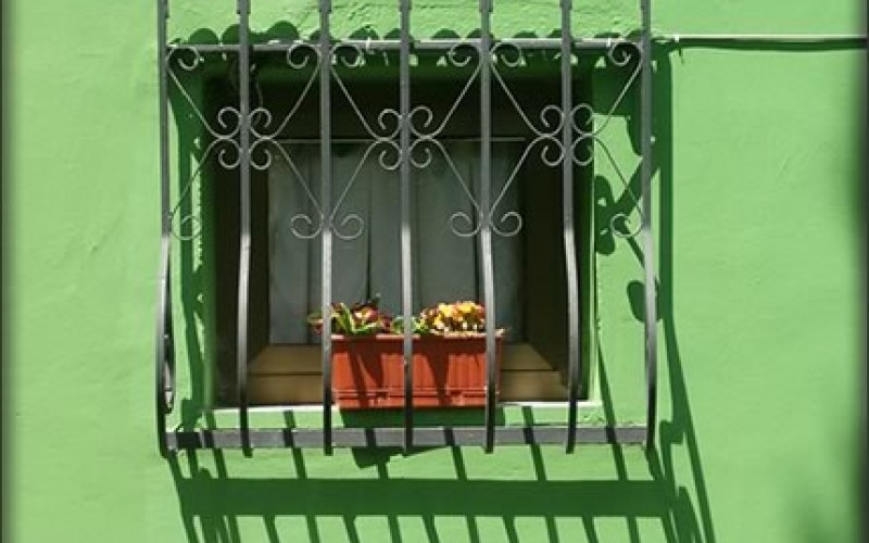 5 Green Home Renovation Tips