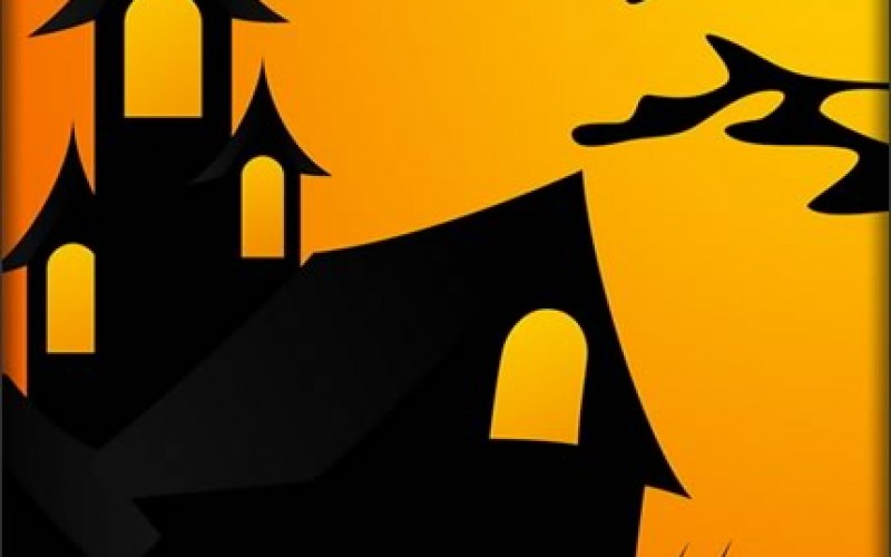 Home Renovation Horror Stories: Strange, But True