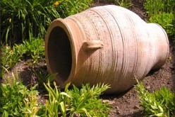 5 Ways to Save Money on Your Yard