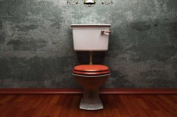 Don’t Waste On The Flush – New Toilet Technologies