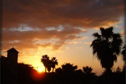 Florida Sun Will Put Our Solar Screens to the Test