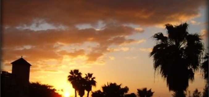 Florida Sun Will Put Our Solar Screens to the Test