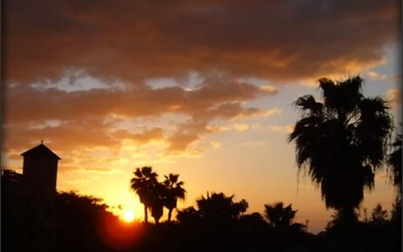 Florida Sun Will Put Our Solar Screens to the Test