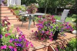 4 Summer Yard Care Tips