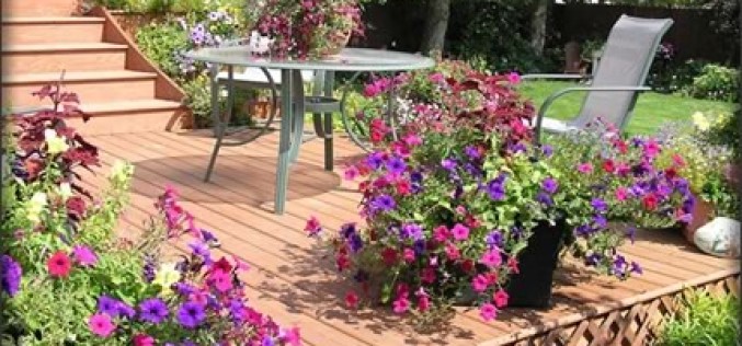 4 Summer Yard Care Tips