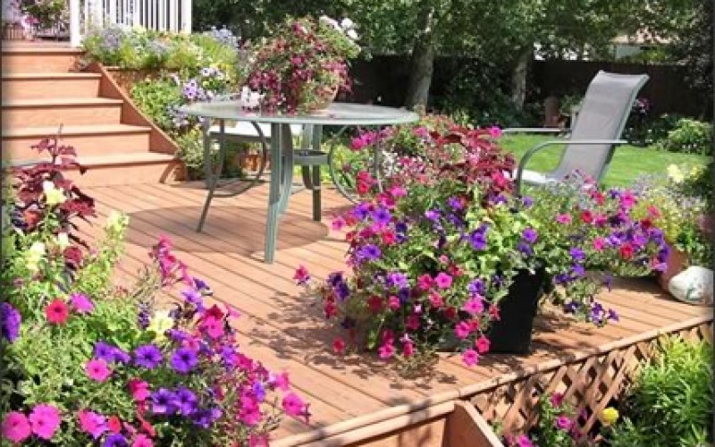 4 Summer Yard Care Tips