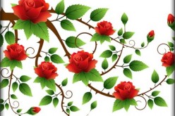 Unique Uses of Wallpaper