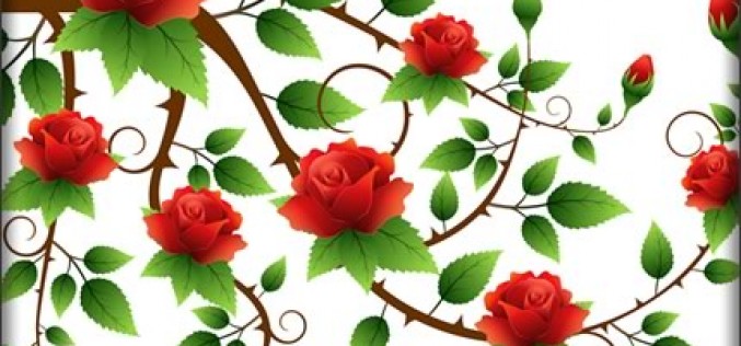 Unique Uses of Wallpaper
