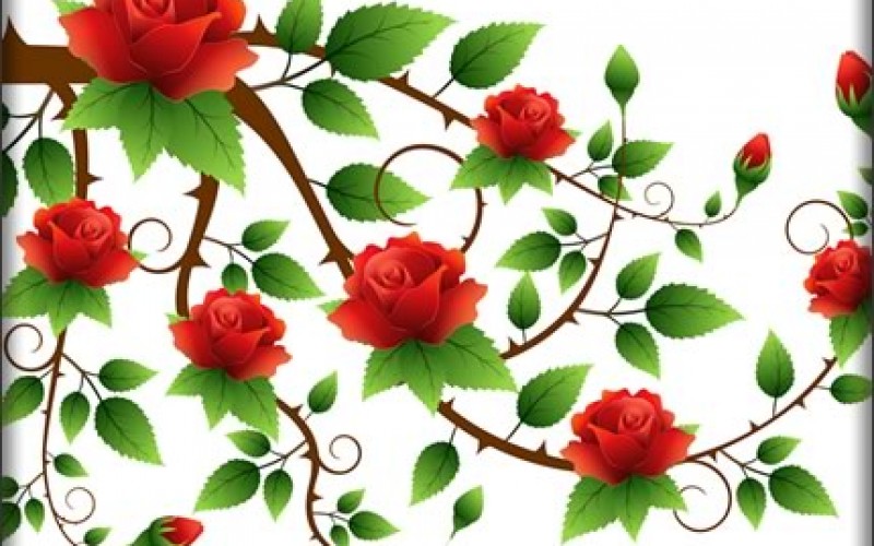 Unique Uses of Wallpaper