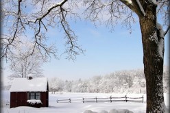 How to Prepare Your Garage for Winter
