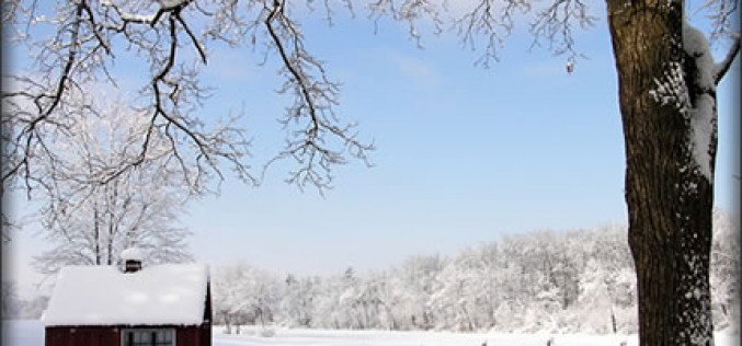 How to Prepare Your Garage for Winter