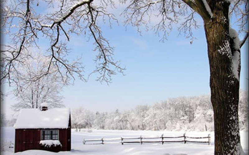 How to Prepare Your Garage for Winter