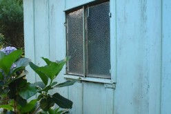 How to Prepare Your Shed for Winter