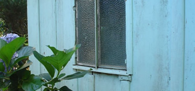 How to Prepare Your Shed for Winter