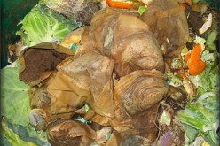 Use Your Compost Pile All Year