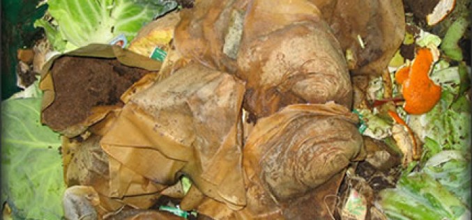Use Your Compost Pile All Year