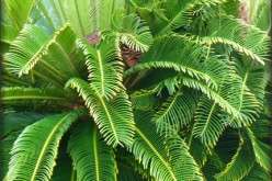 Invigorate Your Yard With Fresh Landscaping