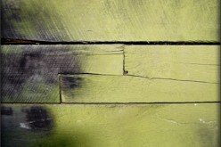 You Can Win the Battle Against Mildew