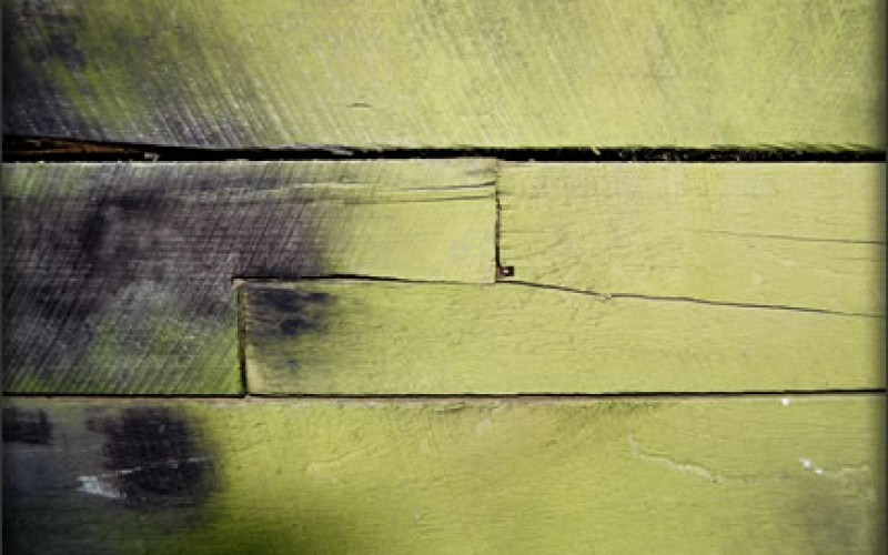 You Can Win the Battle Against Mildew