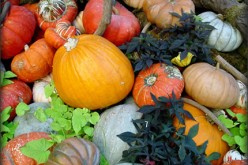 Thanksgiving Home Decorating Ideas