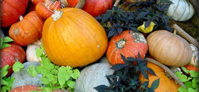 Thanksgiving Home Decorating Ideas