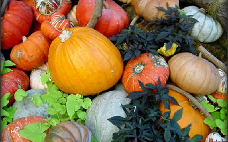 Thanksgiving Home Decorating Ideas