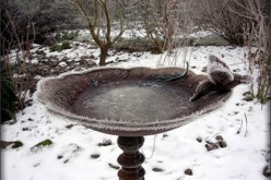 Protect Your Valuable Bird Bath This Winter