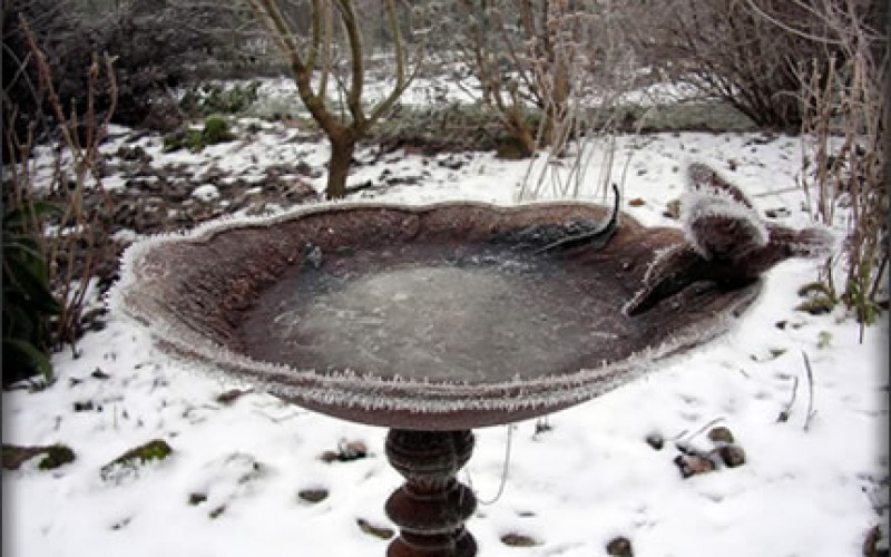 Protect Your Valuable Bird Bath This Winter