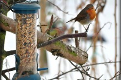 You Can Winterize Your Garden