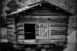 Should You Renovate or Replace Your Wood Shed?