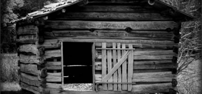 Should You Renovate or Replace Your Wood Shed?