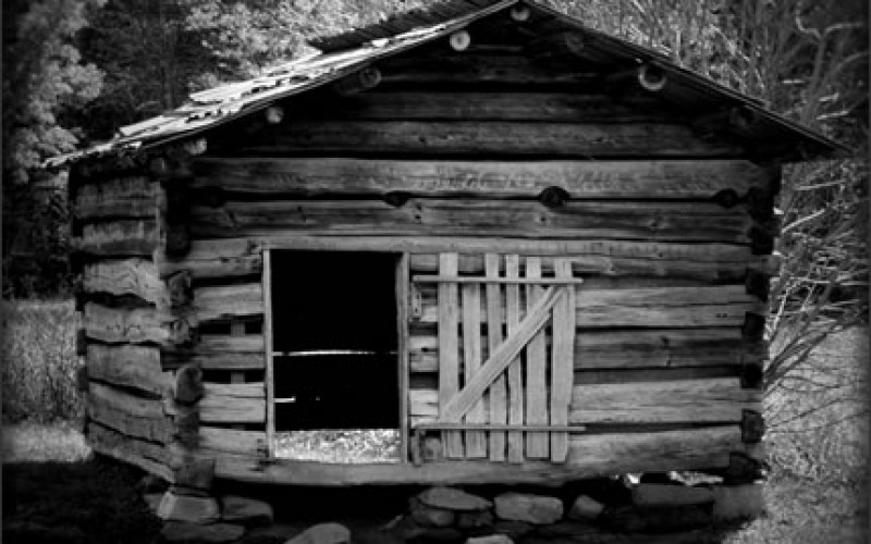 Should You Renovate or Replace Your Wood Shed?