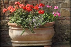 7 Yard Decor Ideas