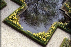 How to Hire a Landscape Professional
