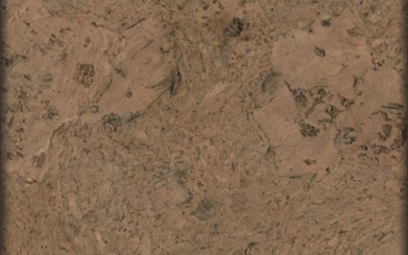 Cork: The Environmental and Practical Flooring You Haven’t Considered